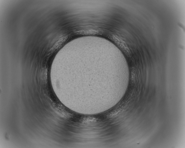 X0000096680206200803041247