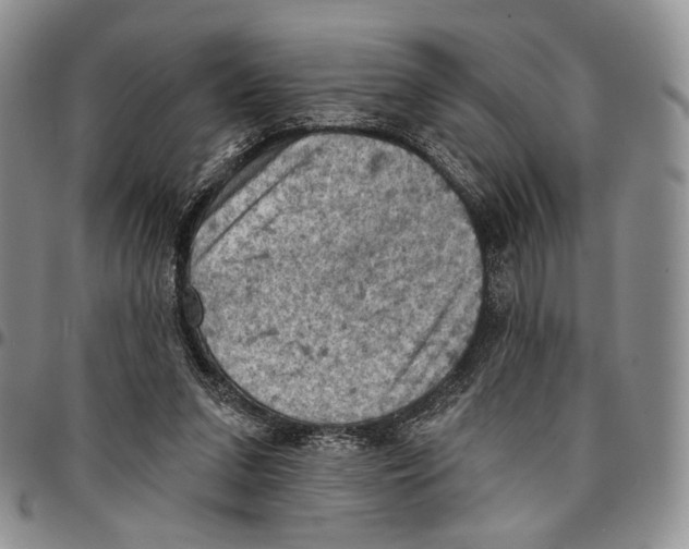 X0000096680207200803041247