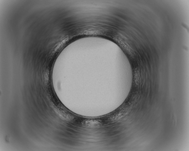 X0000096680208200803041247