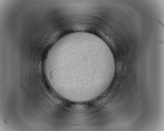 X0000096680209200803041247
