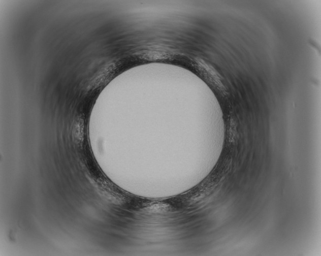 X0000096680210200803041247