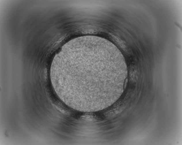 X0000096680211200803041247