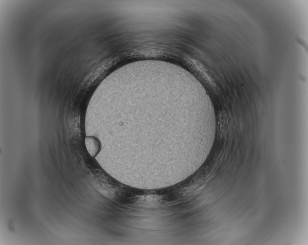 X0000096680212200803041247