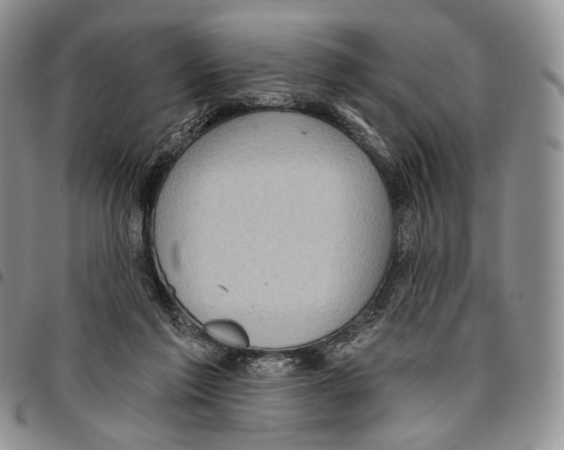 X0000096680213200803041247