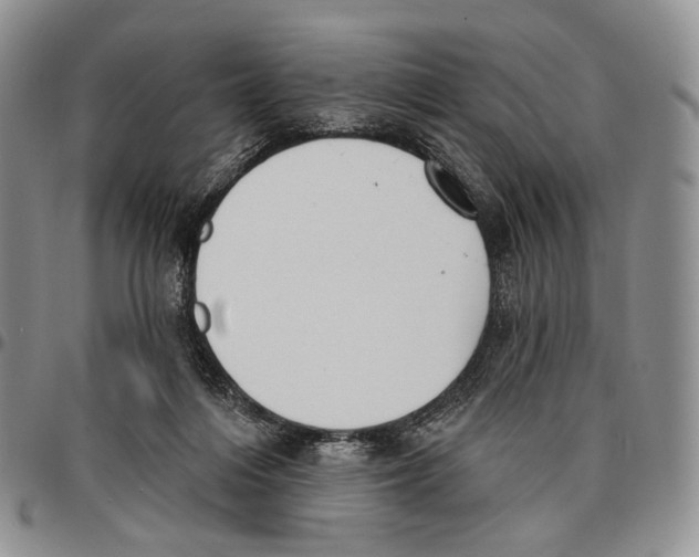 X0000096680216200803041247