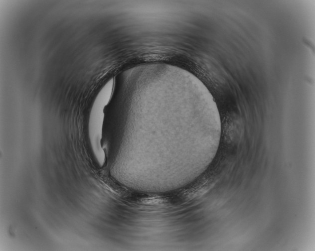 X0000096680219200803041247
