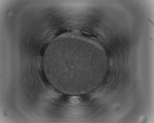 X0000096680222200803041247