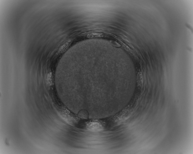 X0000096680224200803041247