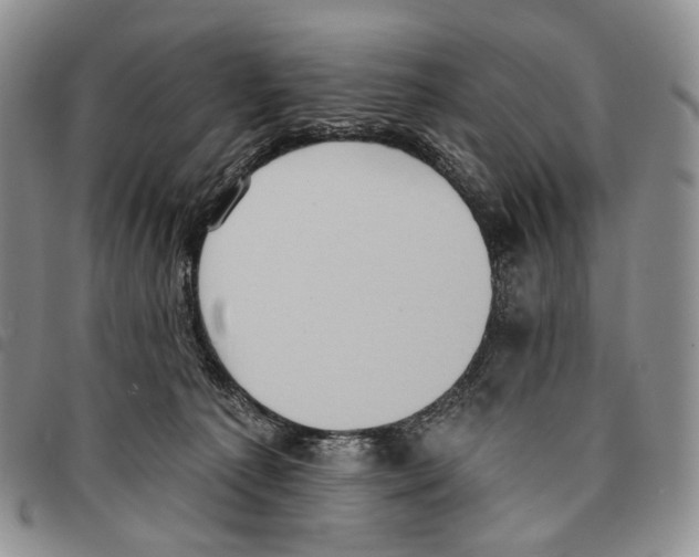 X0000096680225200803041247
