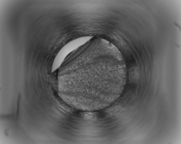 X0000096680229200803041247