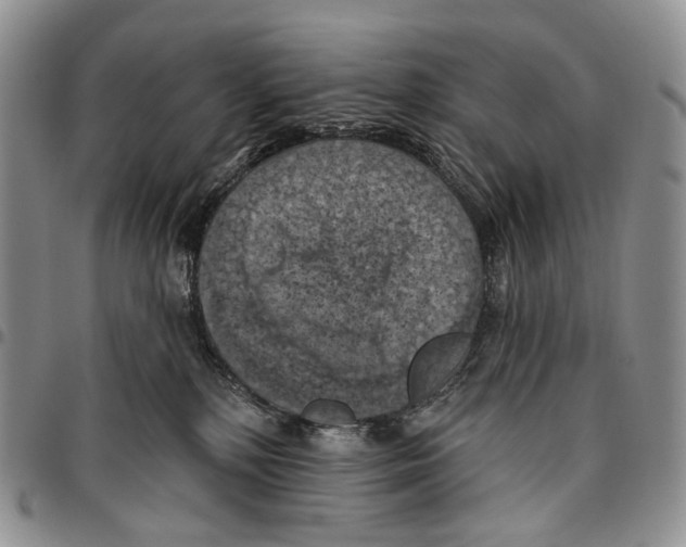X0000096680232200803041247
