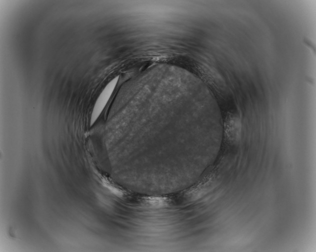 X0000096680233200803041247