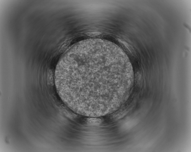 X0000096680234200803041247