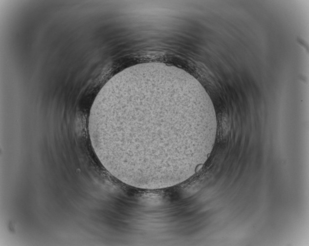 X0000096680236200803041247