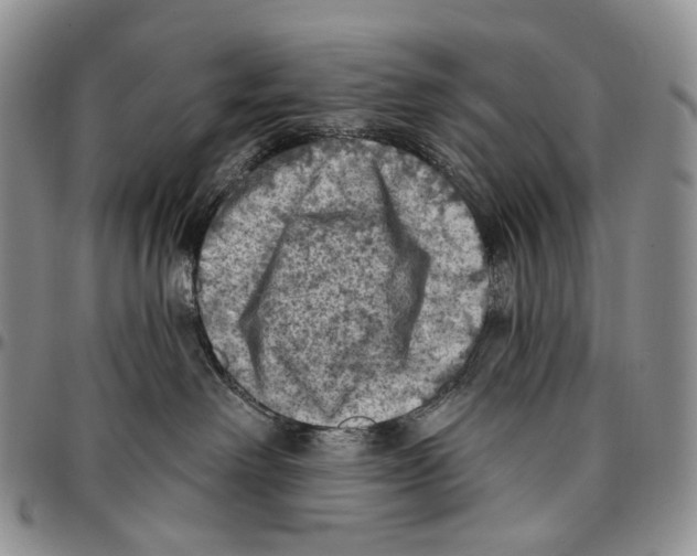 X0000096680238200803041247
