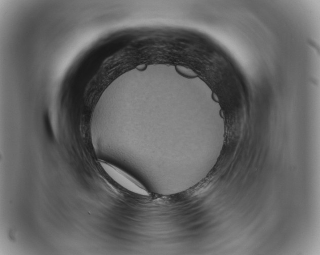 X0000096680239200803041247