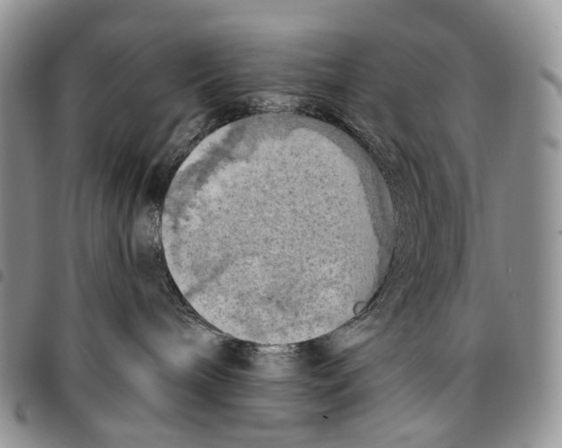 X0000096680240200803041247