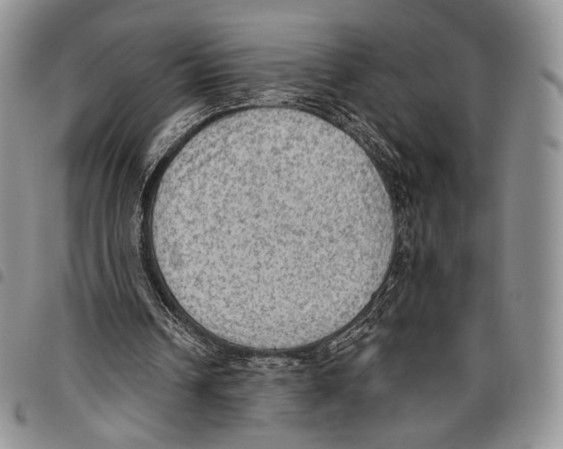 X0000096680242200803041246