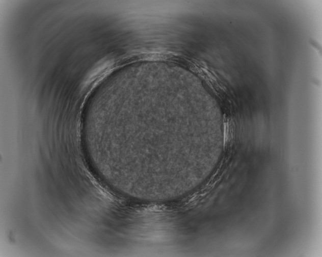 X0000096680243200803041246