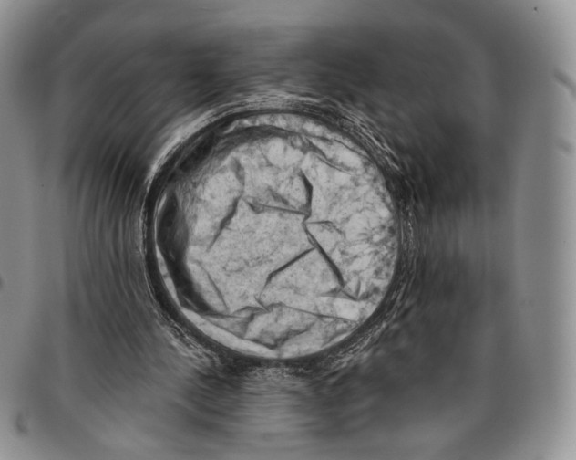 X0000096680244200803041246