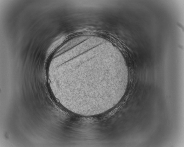 X0000096680245200803041246