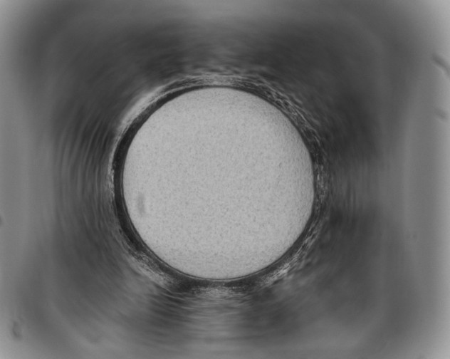 X0000096680246200803041246