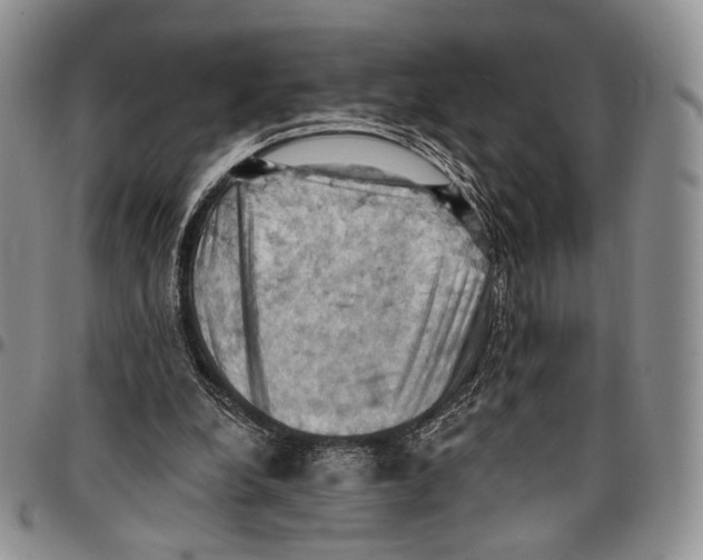 X0000096680248200803041246