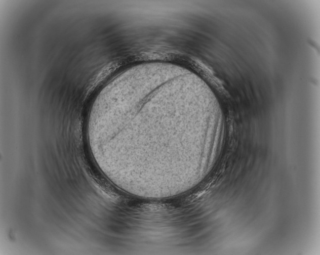 X0000096680250200803041246