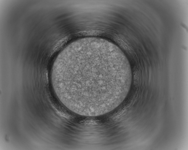 X0000096680254200803041246
