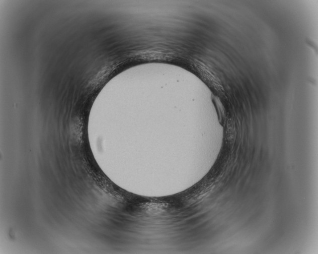 X0000096680255200803041246