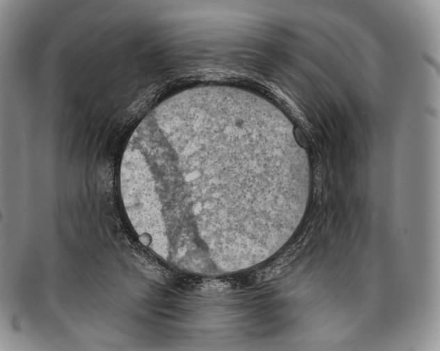 X0000096680257200803041247