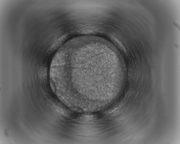 X0000096680260200803041247