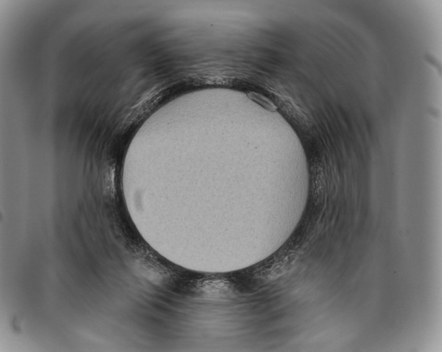 X0000096680262200803041247