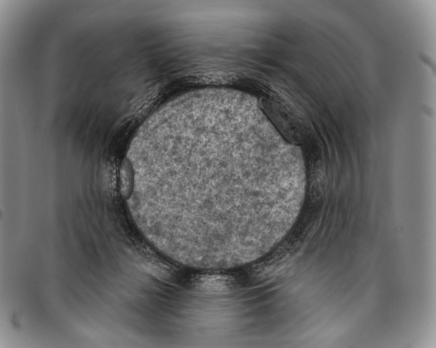 X0000096680268200803041247