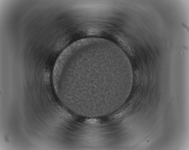 X0000096680269200803041247