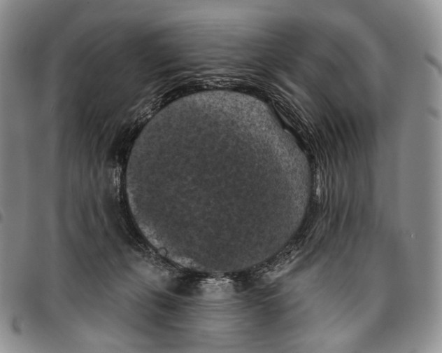 X0000096680271200803041247