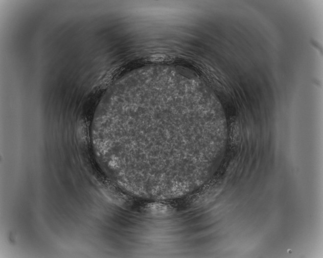 X0000096680272200803041247