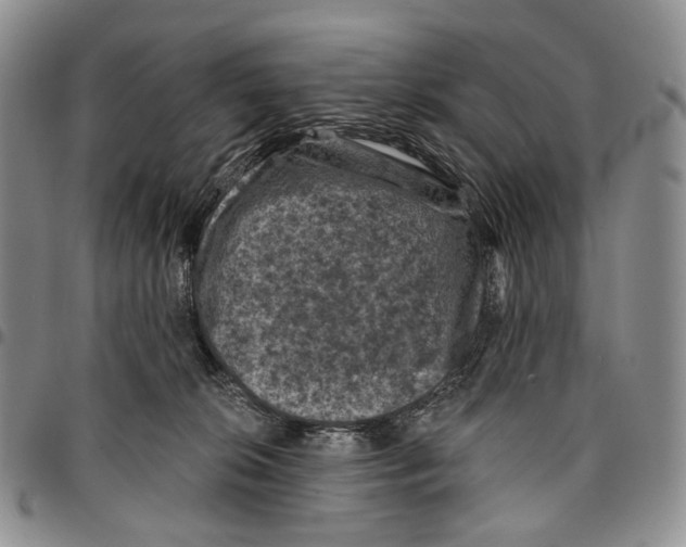 X0000096680276200803041247