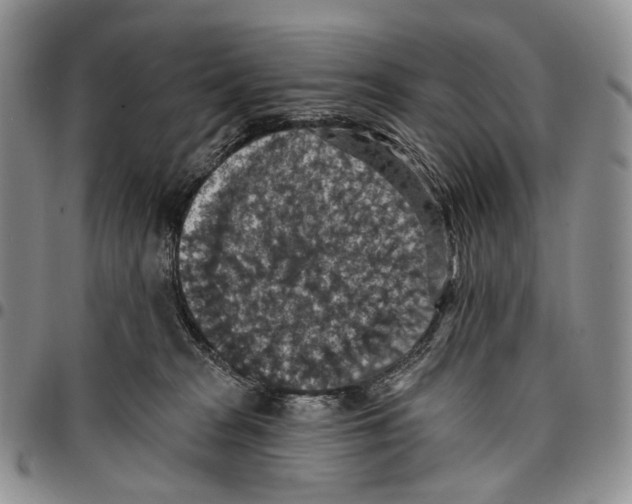 X0000096680277200803041247