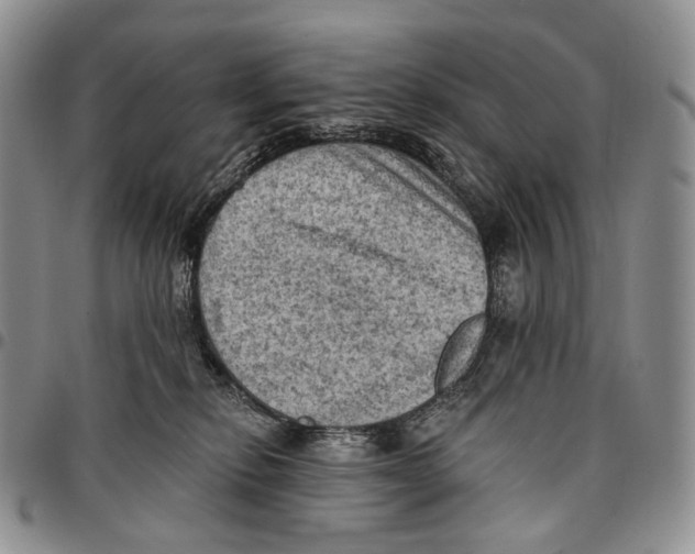 X0000096680278200803041247