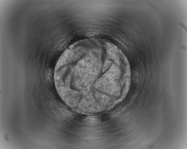 X0000096680280200803041247