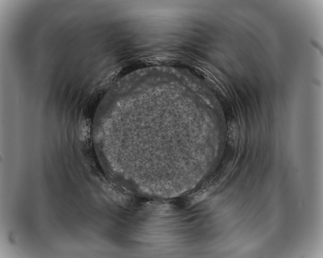 X0000096680284200803041247