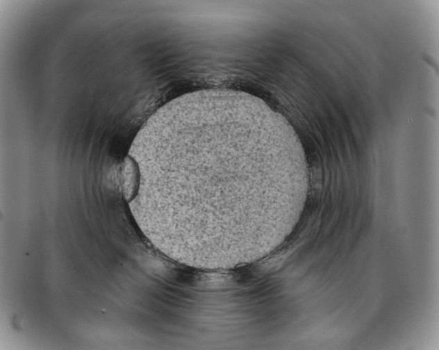 X0000096680286200803041247