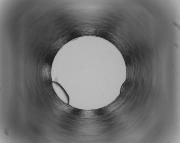 X0000096680287200803041247