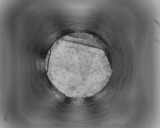 X0000096680288200803041247