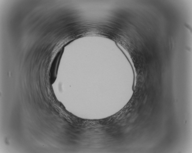 X0000096680289200803041246