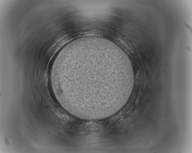 X0000096680290200803041246