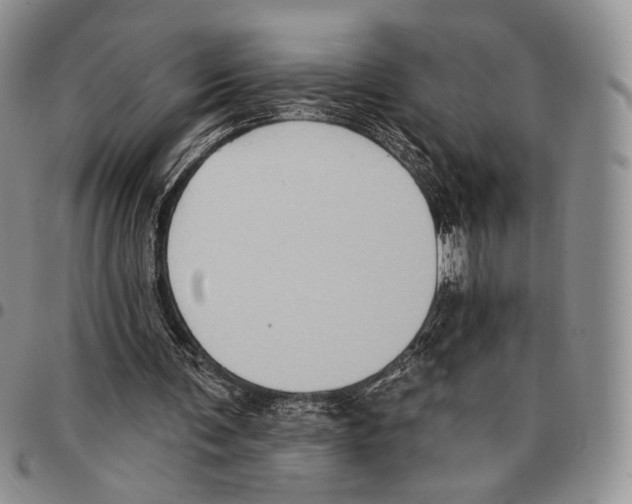 X0000096680291200803041246