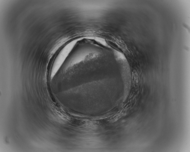 X0000096680292200803041246
