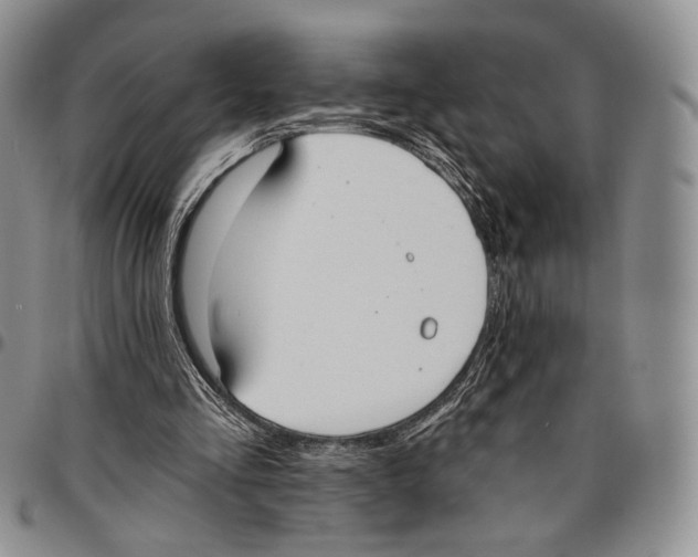 X0000096680293200803041246